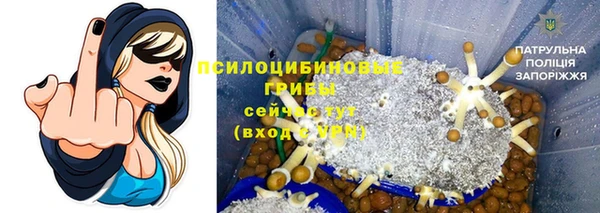 мяу мяу мука Лагань