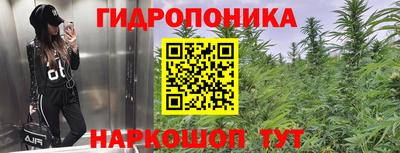 ГАЛЛЮЦИНОГЕННЫЕ ГРИБЫ Краснокаменск
