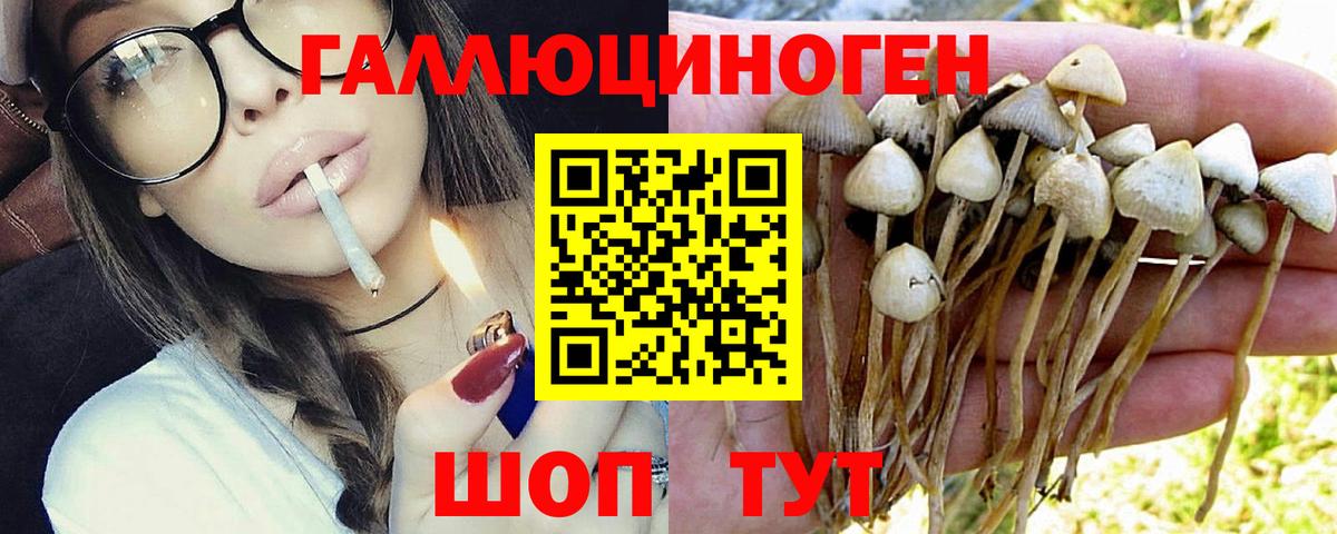Первоуральск  Псилоцибиновые грибы ЛСД  Вход с VPN 