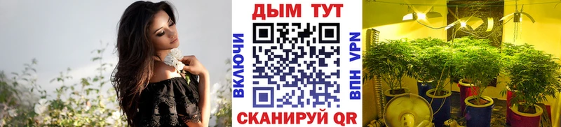 где продают наркотики  Первоуральск  KRAKEN как войти  Конопля Ganja 